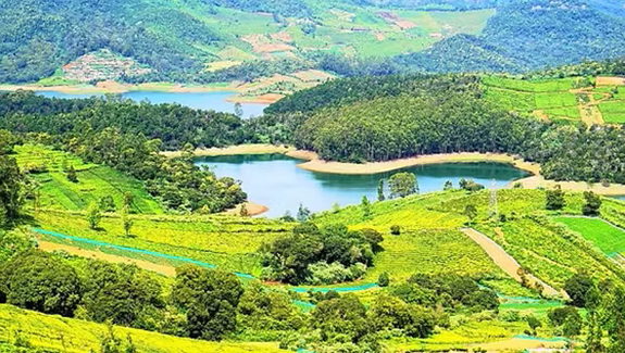 Chennai to Ooty Tempo Traveller Rental